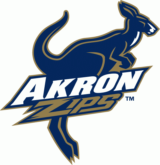 Akron Zips 2002-2007 Primary Logo Print Decal